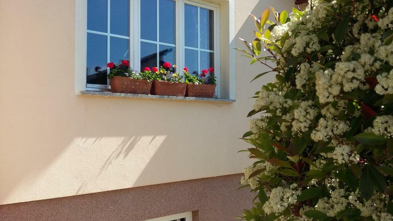 Apartments Place4You Bjelovar Dış mekan fotoğraf